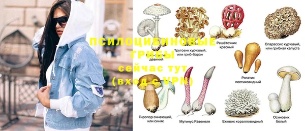 шишки Алексеевка